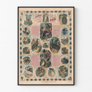lloyds-pictorial-chart-of-birds