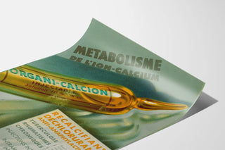 metabolisme-de-lion-calcium