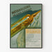 Vintage-Poster Calcium-Ion-Stoffwechsel zur Wanddekoration