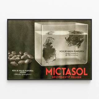 mictasol