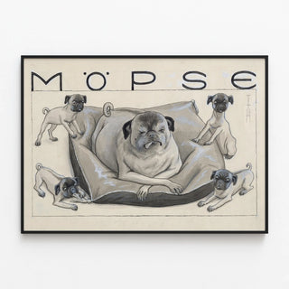mopse