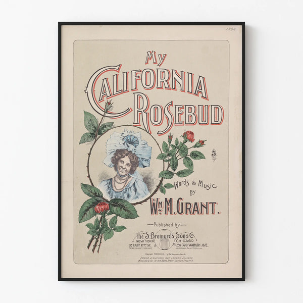 my-california-rosebud