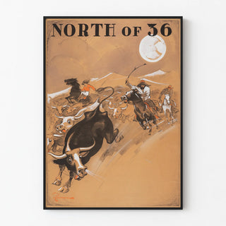 north-of-36