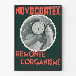 novocortex