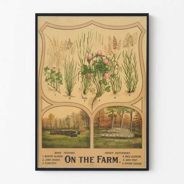 on-the-farm-3