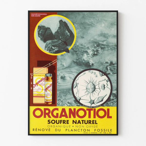 Vintage-Poster Organotiol natürlicher Schwefel Wissenschaftliche Wanddekoration