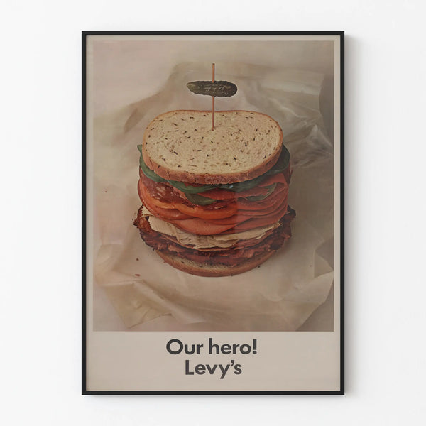 our-hero-levys