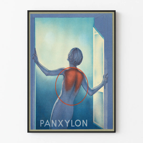 panxylon-2