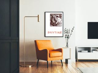 phytine