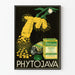 Poster pubblicitario vintage Phytojava Medicina Naturale
