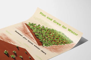 plan-and-grow-for-winter-summer-glut-leaves-winter-short-take-warning-now-and-dont-get-caught