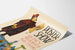 Vintage Poster Show Quincy Massachusetts