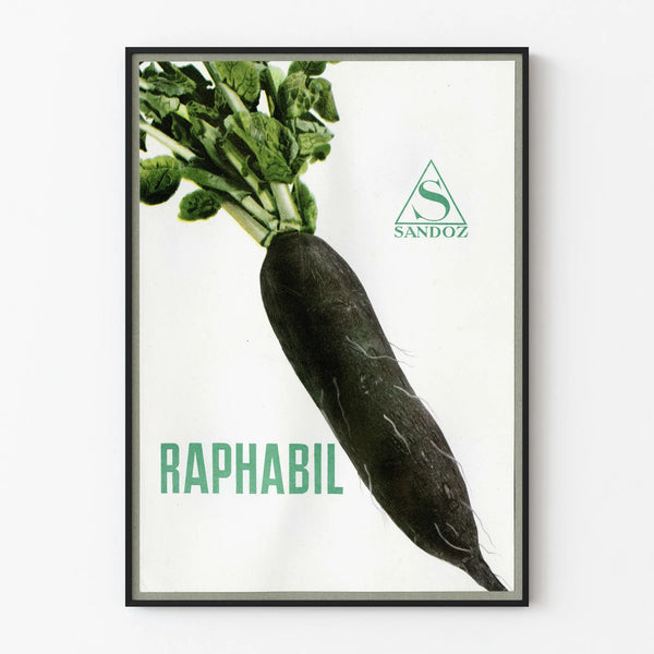 Vintage-Poster mit schwarzem Radieschen Raphabil Sandoz für Wanddekoration