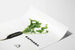 Poster decorativo Raphabil - Ravanello Nero e Fogliame Verde