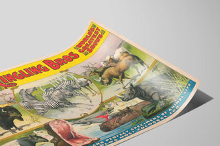 ringling-bros-worlds-greatest-shows-specially-rare-costly-and-perfect-specimens-of-animal-life-in-colossal-zoo