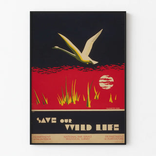 save-our-wild-life
