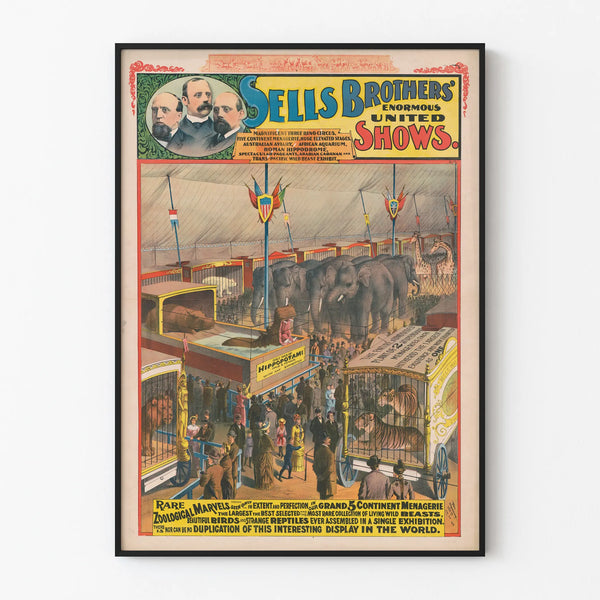 sells-brothers-enormous-united-shows-rare-zoological-marvels