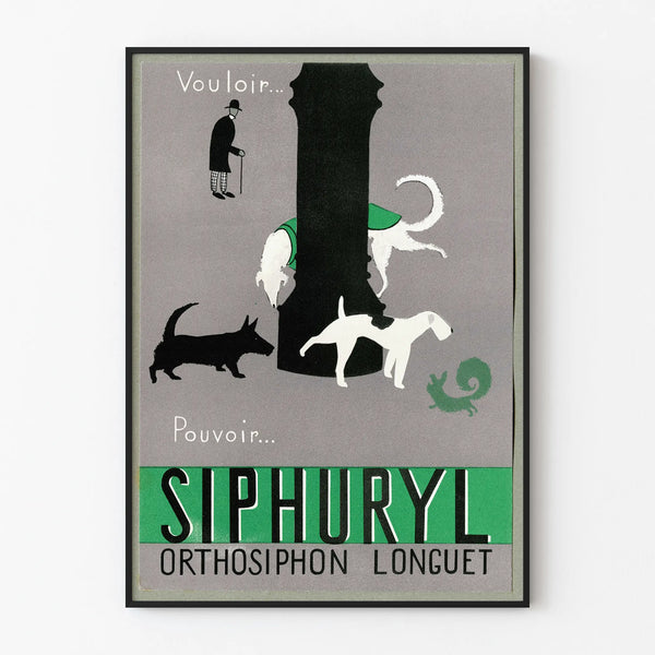 Vintage-Wandposter Siphuryl Orthosiphon Longuet