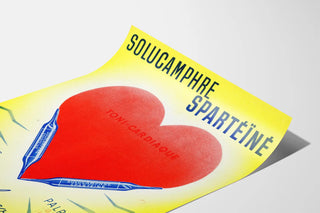 solucamphre-sparteine