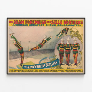 the-adam-forepaugh-and-sells-brothers-americas-greatest-shows-consolidated-the-ryan-weitzel-zorellas