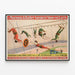 Vintage Circus Poster Barnum & Bailey - Acrobatics and Aerial Show — framed artwork on a wall
