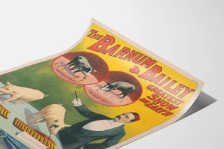 the-barnum-bailey-greatest-show-on-earth-troupe-of-very-remarkable-trained-pigs