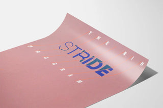 the-nih-stride-program