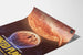 Decorative Poster of the Burned Planet NASA - The Roasted Planet