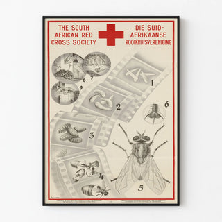 the-south-african-red-cross-society