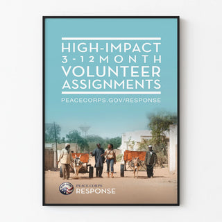 volunteer-assignments