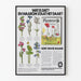 Vintage-Botanical-Poster Plantenrijk – Natürliche Wanddekoration mit Pflanzen und Wildpflanzen
