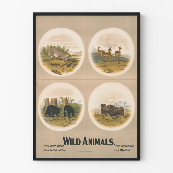 wild-animals-3