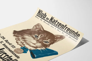 x-internationale-katzen-ausstellung-des-klubs-der-katzenfreunde