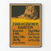 Vintage-Poster Löwe Zoologischer Garten Berlin - Retro-Wanddekoration